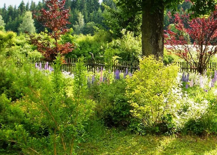 Rainmuehle Holiday home *