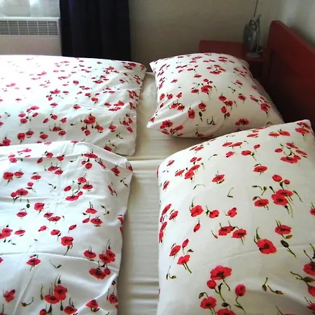 Holiday home Rainmuehle Marianske Lazne